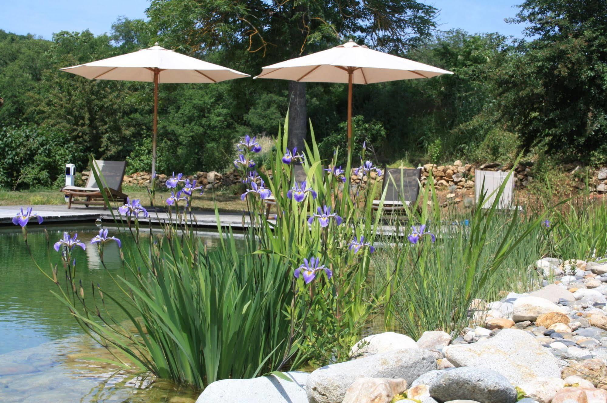 Le Hameau Du Quercy Acomodação com café da manhã Frontenac  Exterior foto